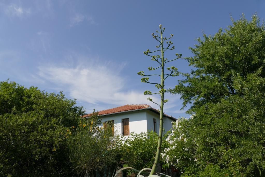 Traditional Stonehouse Potistika Exterior photo